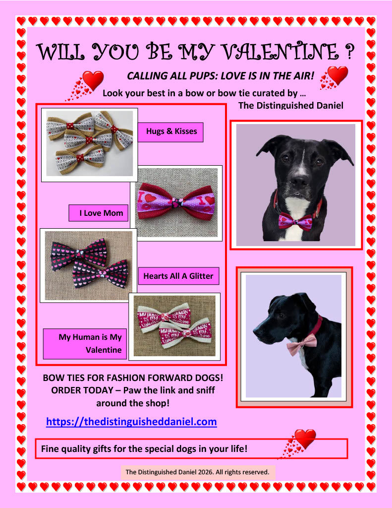 Will You Be My Valentine?  Collection