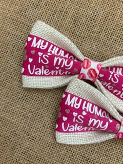 Valentine - My Human Is My Valentine