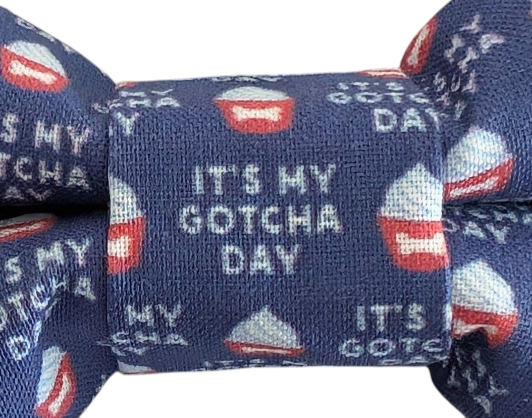 It's My Gotcha Day!  Dog Bow Tie