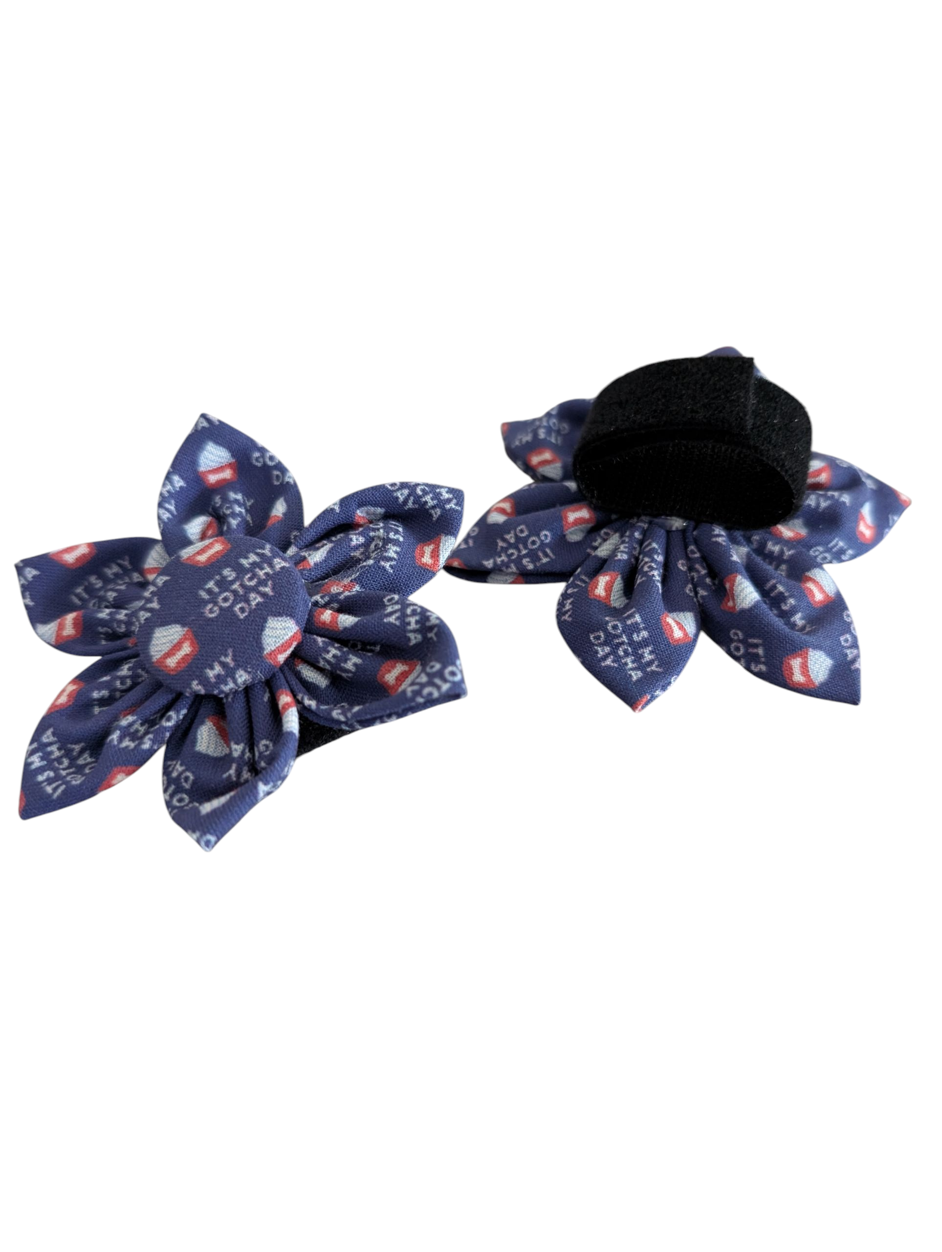 It’s My Gotcha Day! Lady-Dog Collar Flower