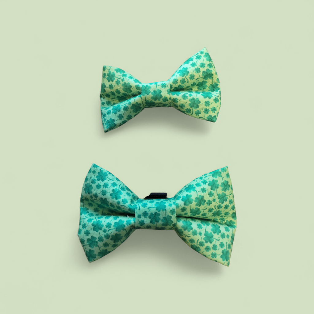 Shamrock Clover All Over