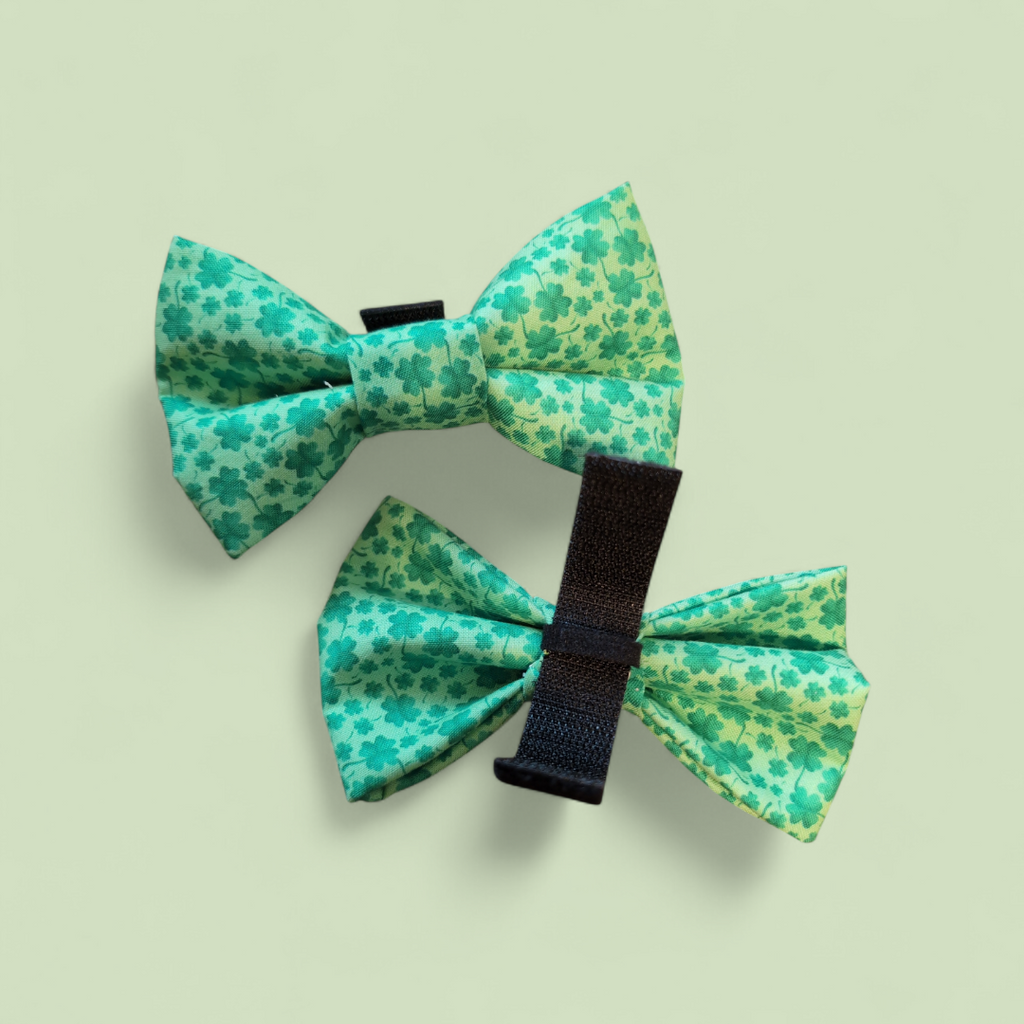 Shamrock Clover All Over