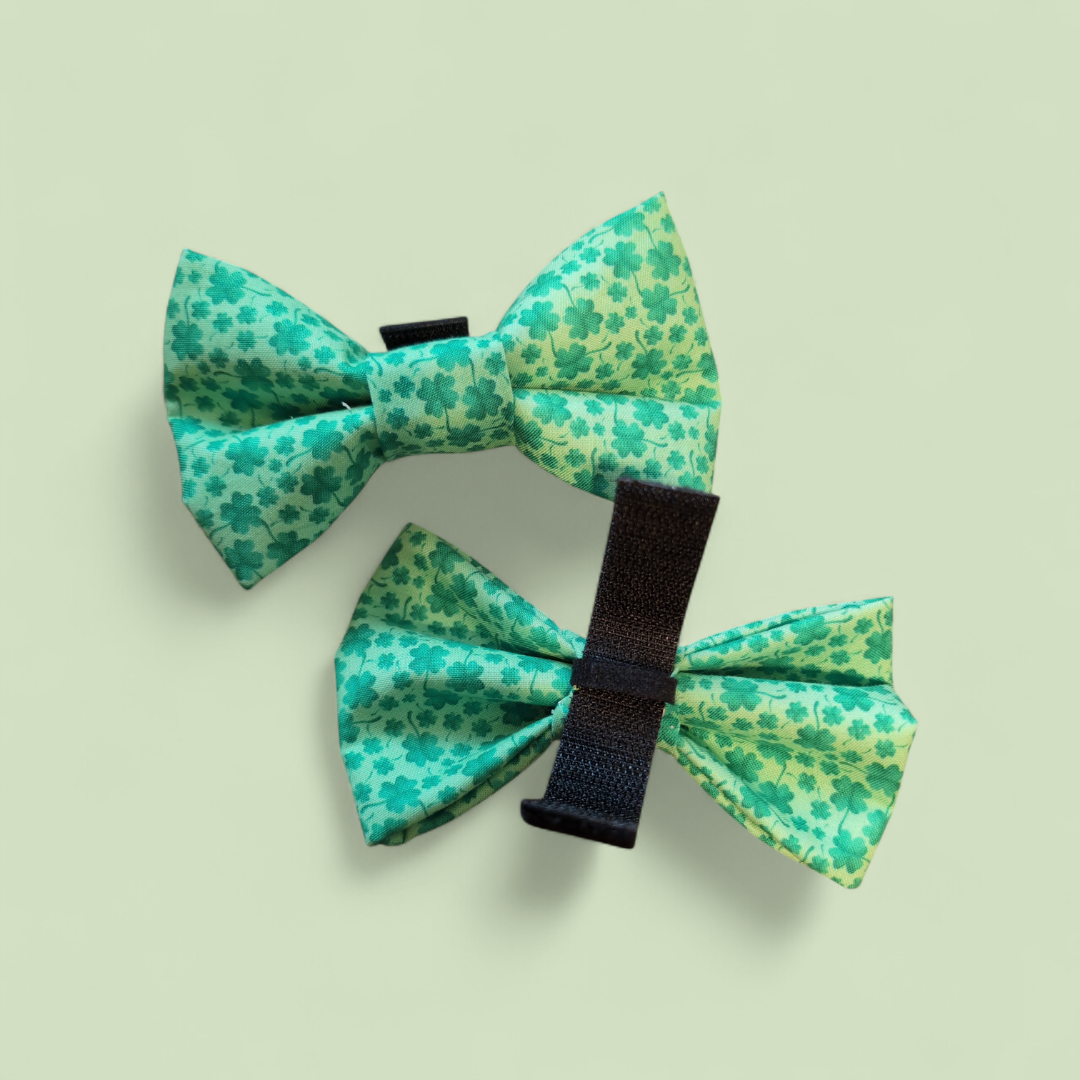 Shamrock Clover All Over