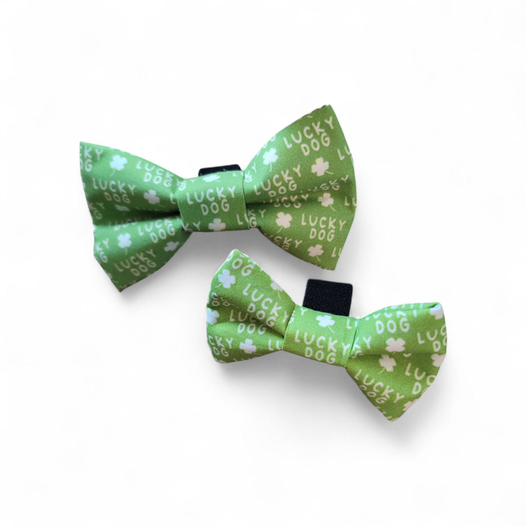 Shamrock Lucky Dog Bow Tie