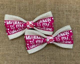 Valentine - My Human Is My Valentine