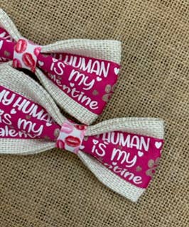 Valentine - My Human Is My Valentine