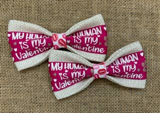 Valentine - My Human Is My Valentine